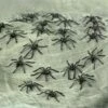 Spinnen Zwart Halloween 24st. -KARNEVALSWIERTS Winkel ka00256