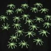 Spinnen Glow In The Dark Halloween 24st. -KARNEVALSWIERTS Winkel ka00257