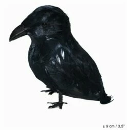 Kraai 9cm