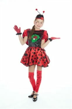 Super Lieveheersbeestje