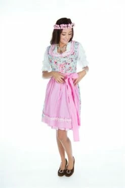 Dirndl Lena Oktoberfeest (jurk,schort)