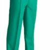Broek Luxe Groen -KARNEVALSWIERTS Winkel ka6873