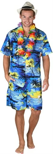 Hawaii Broek Kort Blauw