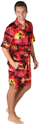 Hawaii Broek Kort Rood